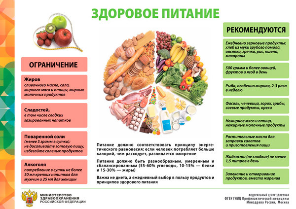 Здоровое питание Скачать (pdf)